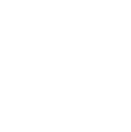 Quality of Life Focus